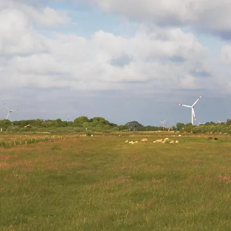 Stunning In With Sauna בית נופש *